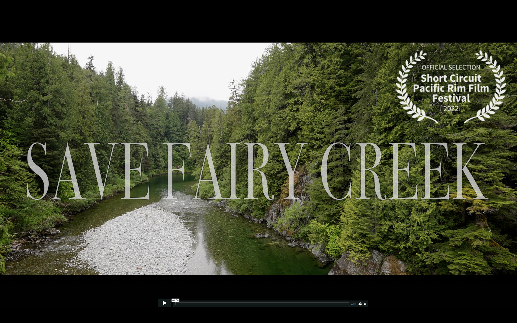Save Fairy Creek